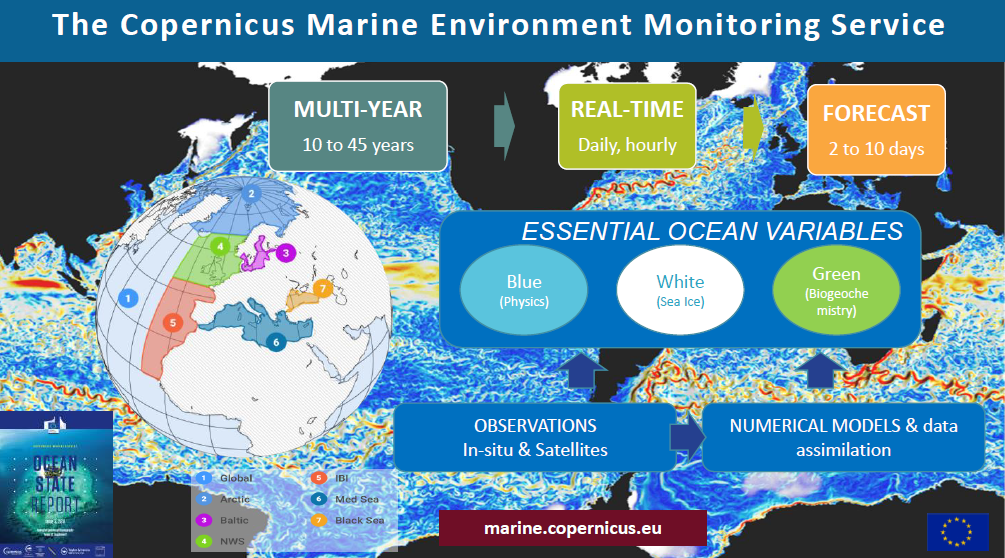 Panorama du service CMEMS. Source: Copernicus Marine Service / Mercator Ocean International