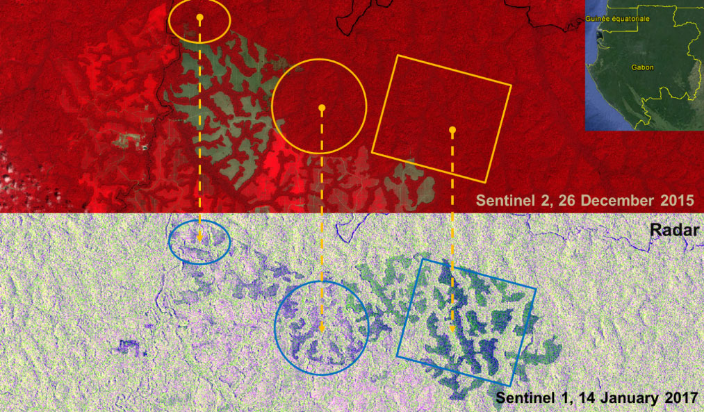 Surveillance d’une exploitation d’hévéas à l’aide d’images optiques (image du dessus, Sentinel-2) et d’images radar (image du dessous, Sentinel-1). Les deux satellites font ressortir des éléments différents (Sources : images Copernicus, traitées par SIRS)
